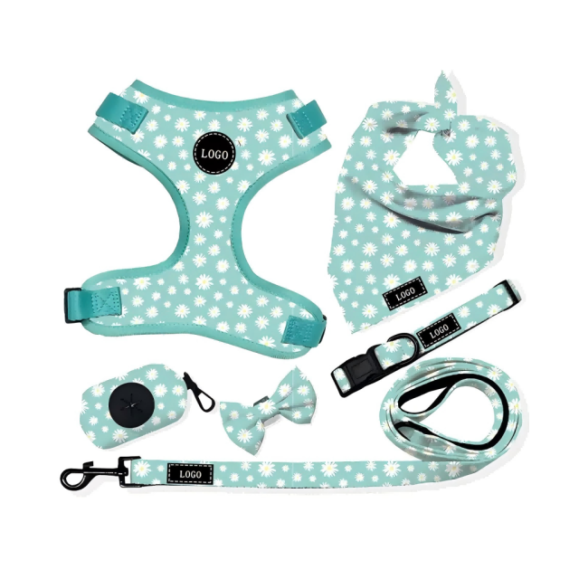 Luxury Custom Any Pattern Colorful Low MOQ Adjustable No Pull Pet Harness and Leash and Collar Set