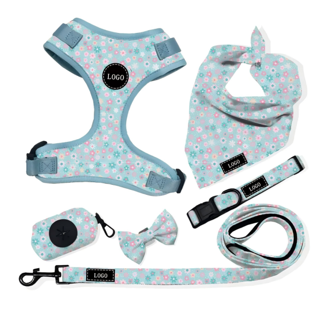Luxury Custom Any Pattern Colorful Low MOQ Adjustable No Pull Pet Harness and Leash and Collar Set