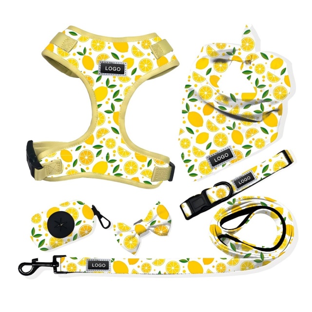 Luxury Custom Any Pattern Colorful Low MOQ Adjustable No Pull Pet Harness and Leash and Collar Set