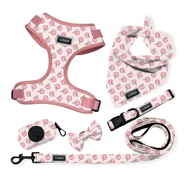 Luxury Custom Any Pattern Colorful Low MOQ Adjustable No Pull Pet Harness and Leash and Collar Set