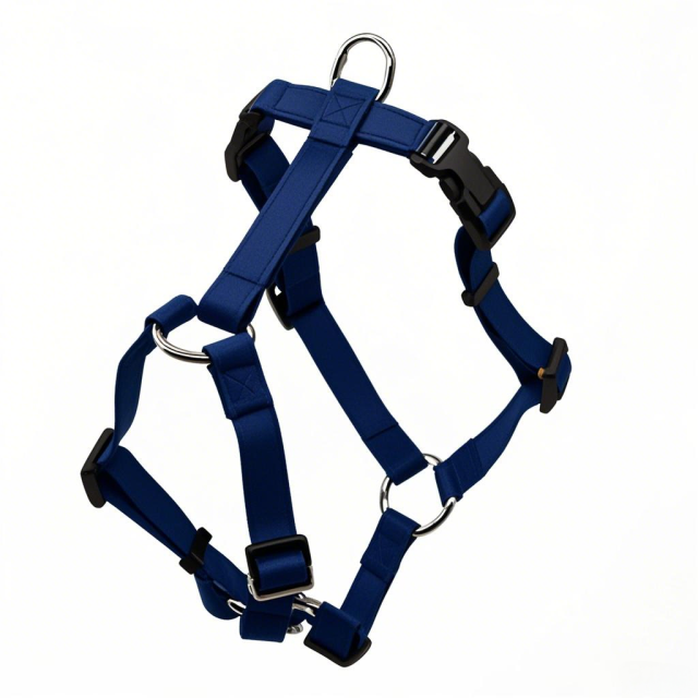 Manufacturers Custom PVC Rubber Coated Waterproof Pet Harness Luxury Adjustable H Strap No Pull Reversible Dog Harness with Dual Buckle Design on Right and Left Side