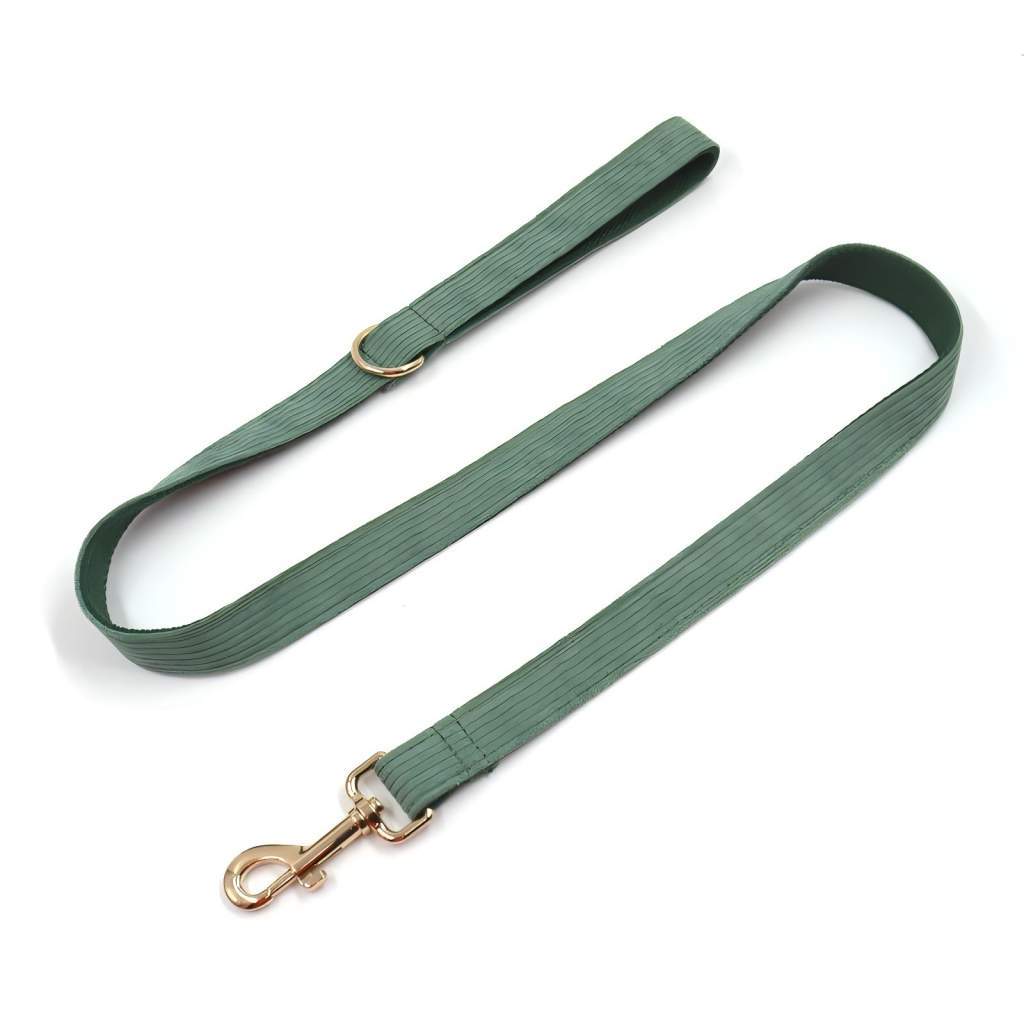 Pet Leash Custom Multipurpose Webbing Soft Adjustable Accessories Hands Free Dog Leash Premium Luxury Corduroy Durable Dog Leash