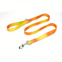 Pet Leash Custom color gradient Soft Adjustable Accessories Hands Free Dog Leash Premium Luxury Durable Dog Leash