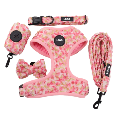 Custom Luxury Embroidered Lace Dog Harness Leash Set Quick Release Buckle Adjustable Dog Harness Set