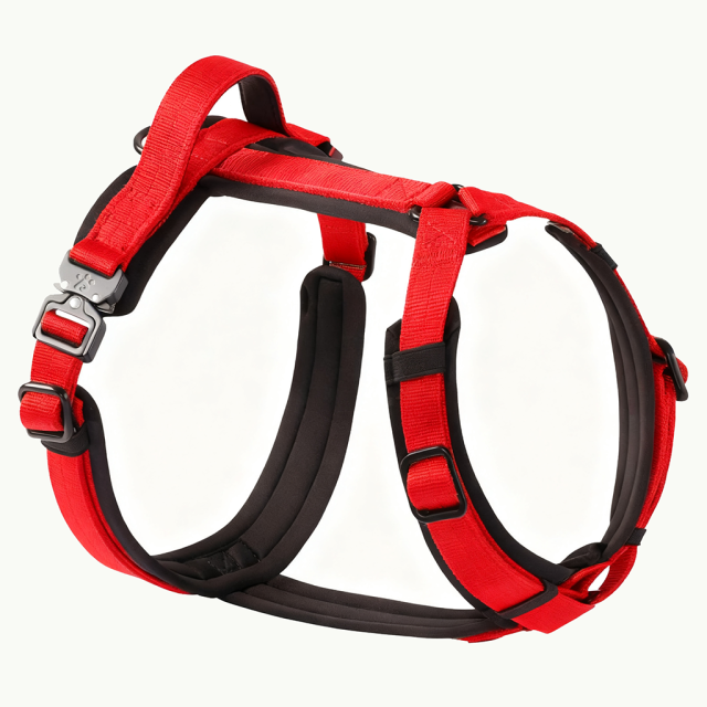 Luxury Neoprene Mesh Dog Harness Soft Padded Breathable Nylon Comfortable Dog Harness Y Style Chest Harness for Dogs