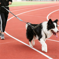Husky Mushing Vest for Exercise Pulling Bikejoring Skijoring Dog Sledding Canicross Scootering Easy Control No-Choke Pet Harness