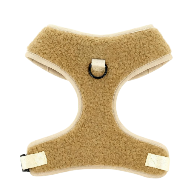 Manufactory Designer Premium Adjustable Cute Sherpa Fleece Teddy Warm Pet Dog Harness Leash Collar Bowtie Metal Set Pet Gift