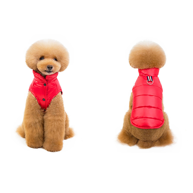 Extra Warm Eco-Friendly Cat Dog Winter Outdoor Jacket New Design Fashion Classic Low Price Shining Polyester Solid Pet Clothes