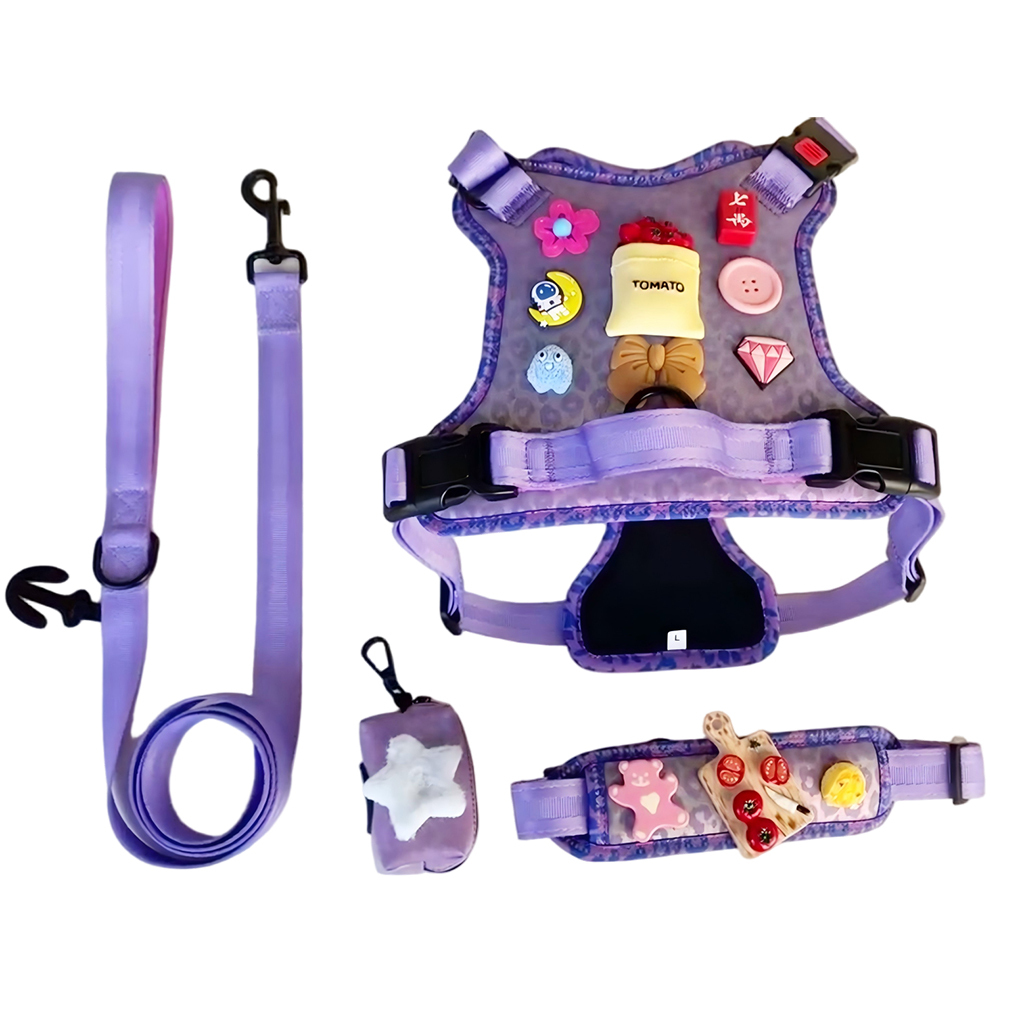 Personalized Dog Gear Featuring Hole Design Custom DIY Charm DIY Accessories Breathable Outdoor Dog Pet Vest Harness Leash Set