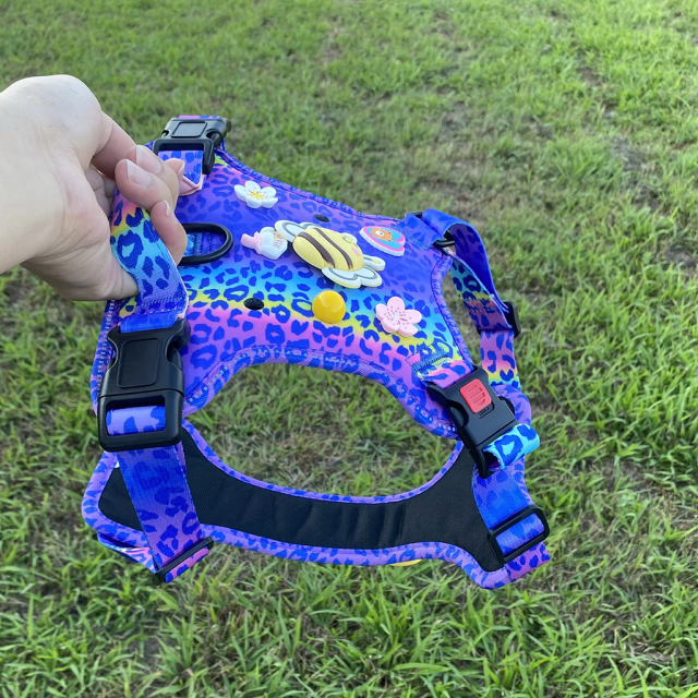 Personalized Dog Gear Featuring Hole Design Custom DIY Charm DIY Accessories Breathable Outdoor Dog Pet Vest Harness Leash Set