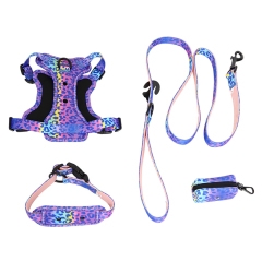 Personalized Dog Gear Featuring Hole Design Custom DIY Charm DIY Accessories Breathable Outdoor Dog Pet Vest Harness Leash Set
