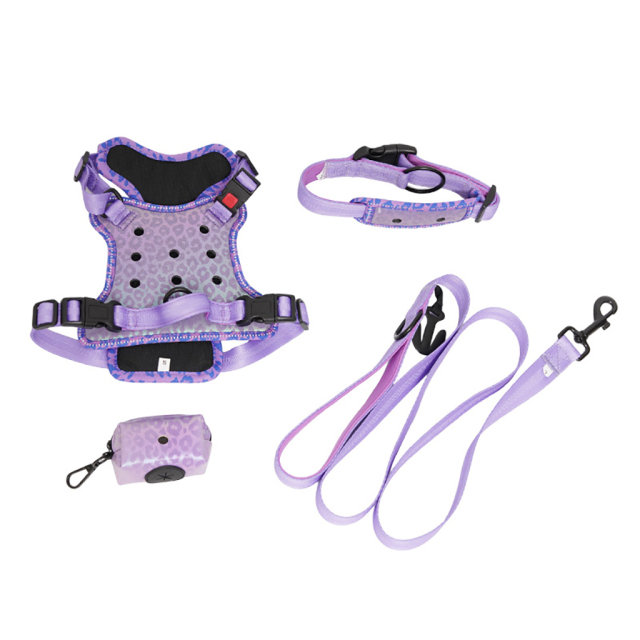 Personalized Dog Gear Featuring Hole Design Custom DIY Charm DIY Accessories Breathable Outdoor Dog Pet Vest Harness Leash Set