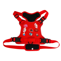 Personalized Dog Gear Featuring Hole Design Custom DIY Charm DIY Accessories Breathable Outdoor Dog Pet Vest Harness Leash Set