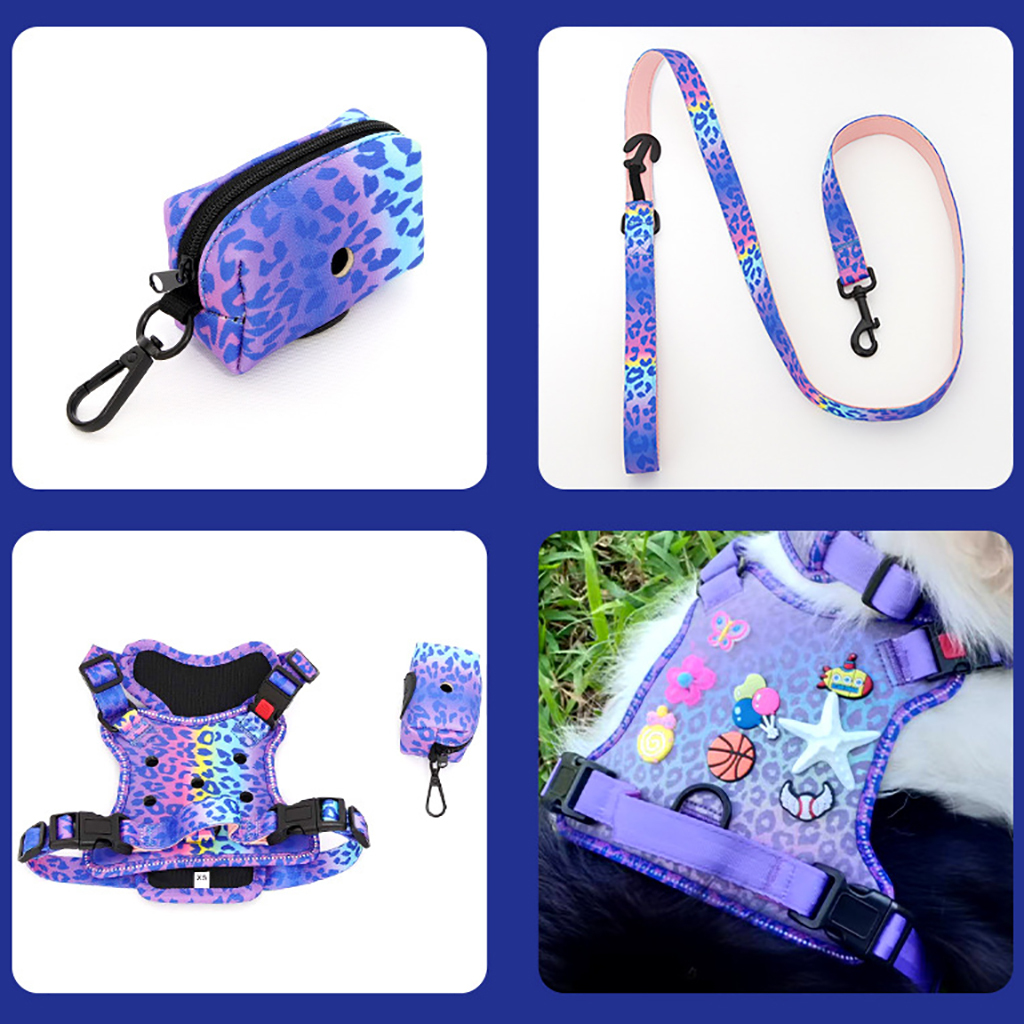 Personalized Dog Gear Featuring Hole Design Custom DIY Charm DIY Accessories Breathable Outdoor Dog Pet Vest Harness Leash Set