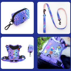 Personalized Dog Gear Featuring Hole Design Custom DIY Charm DIY Accessories Breathable Outdoor Dog Pet Vest Harness Leash Set