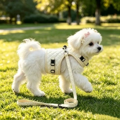 Hot Selling Quilted Printed Dog Vest Harness, Soft Padded Adjustable Walking Chest Strap Leash Set for Small Dogs and Cats