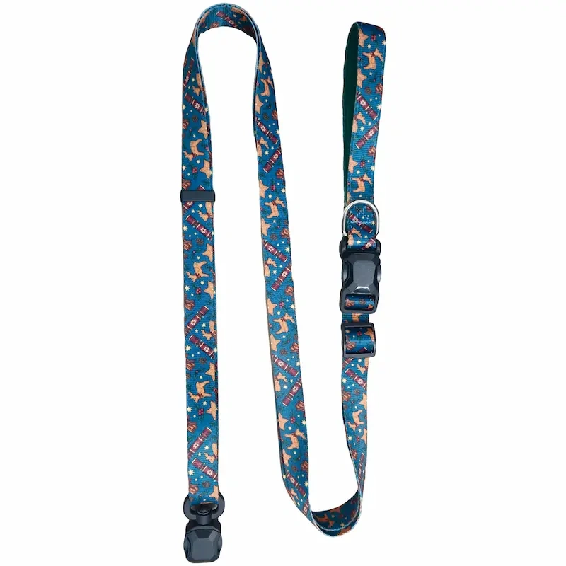 Hot Selling Christmas Pattern Magnetic Pet Harness Set, Easy Wear Magnetic Buckle Puppy Walking Vest Harness Kit for Pets