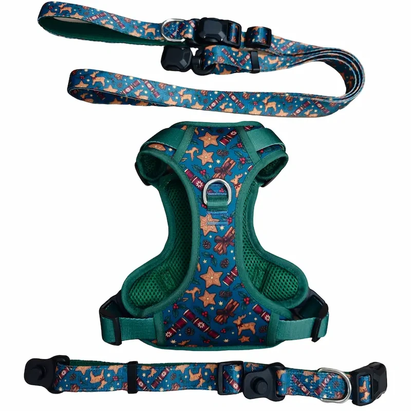 Hot Selling Christmas Pattern Magnetic Pet Harness Set, Easy Wear Magnetic Buckle Puppy Walking Vest Harness Kit for Pets