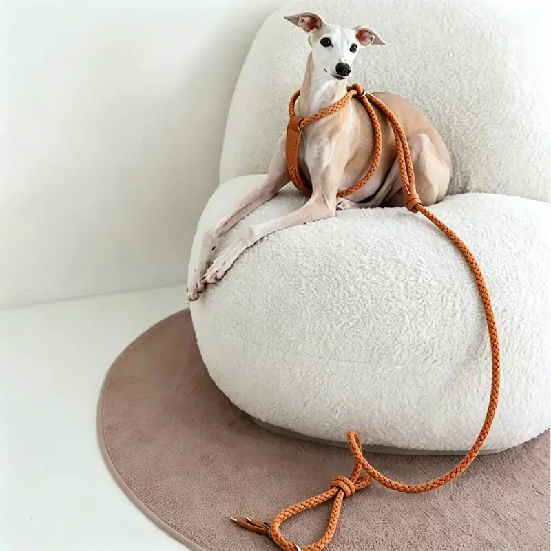 Custom PU Leather & Nylon Rope Dog Harness Leash Collar Set | OEM ODM Personalized Pet Vest Harness