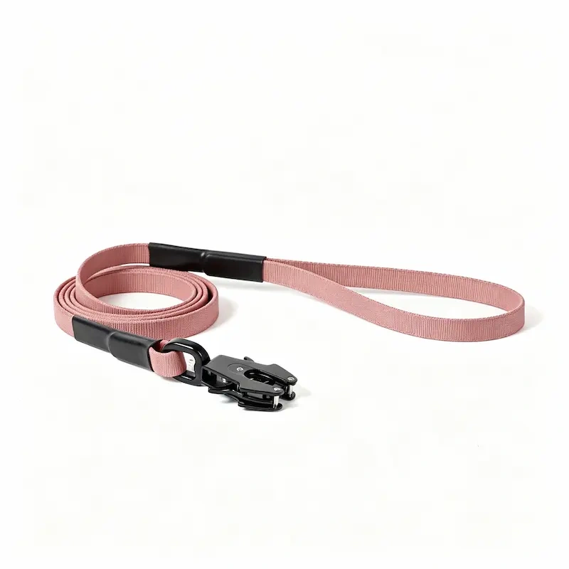 Wholesale Terracotta Dog Leash Featuring Unique Frog‑Style Quick Release Buckle, Durable Nylon Pet Walking Lead, OEM & ODM Customizable for Pet Retailer