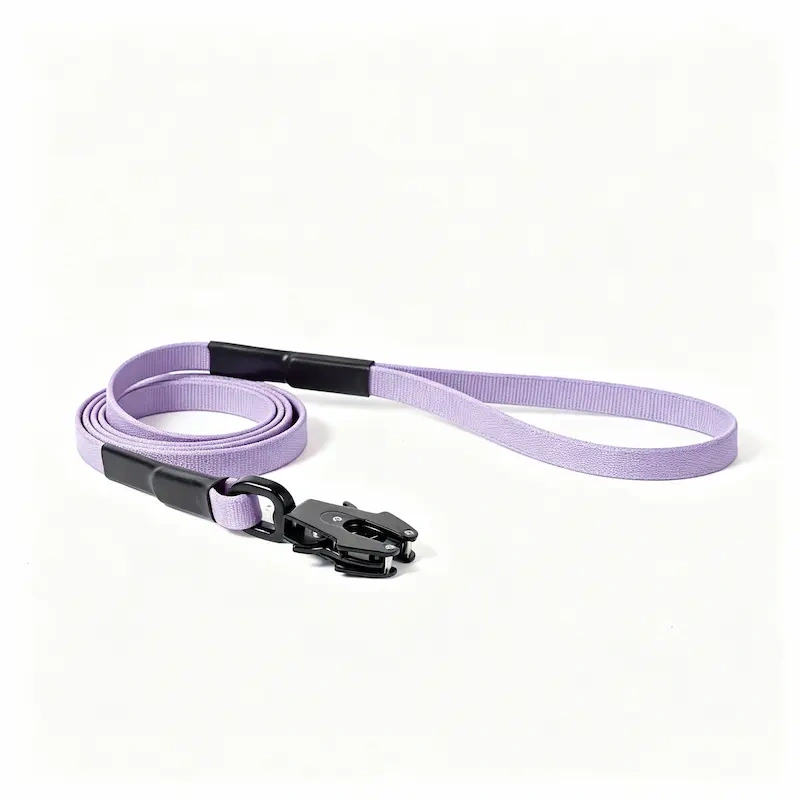 Wholesale Terracotta Dog Leash Featuring Unique Frog‑Style Quick Release Buckle, Durable Nylon Pet Walking Lead, OEM & ODM Customizable for Pet Retailer