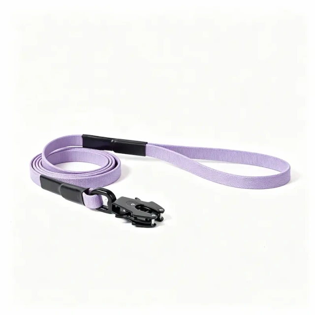 Wholesale Terracotta Dog Leash Featuring Unique Frog‑Style Quick Release Buckle, Durable Nylon Pet Walking Lead, OEM & ODM Customizable for Pet Retailer