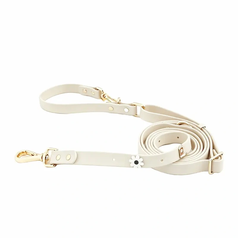 Waterproof PVC Coated Webbing Multi-way Dog Leash with Brass Metal Hardware, Premium Mint Green Pet Lead for Walking & Training, OEM/ODM Wholesale Order Supported