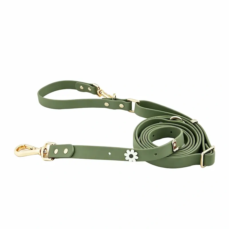 Waterproof PVC Coated Webbing Multi-way Dog Leash with Brass Metal Hardware, Premium Mint Green Pet Lead for Walking & Training, OEM/ODM Wholesale Order Supported