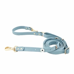 Waterproof PVC Coated Webbing Multi-way Dog Leash with Brass Metal Hardware, Premium Mint Green Pet Lead for Walking & Training, OEM/ODM Wholesale Order Supported