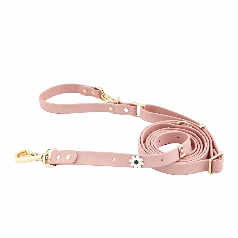 Waterproof PVC Coated Webbing Multi-way Dog Leash with Brass Metal Hardware, Premium Mint Green Pet Lead for Walking & Training, OEM/ODM Wholesale Order Supported