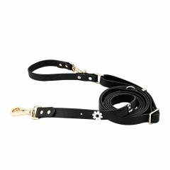 Waterproof PVC Coated Webbing Multi-way Dog Leash with Brass Metal Hardware, Premium Mint Green Pet Lead for Walking & Training, OEM/ODM Wholesale Order Supported