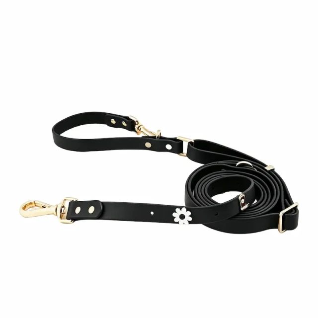 Waterproof PVC Coated Webbing Multi-way Dog Leash with Brass Metal Hardware, Premium Mint Green Pet Lead for Walking & Training, OEM/ODM Wholesale Order Supported