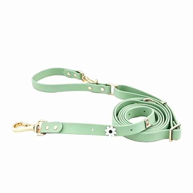 Waterproof PVC Coated Webbing Multi-way Dog Leash with Brass Metal Hardware, Premium Mint Green Pet Lead for Walking & Training, OEM/ODM Wholesale Order Supported