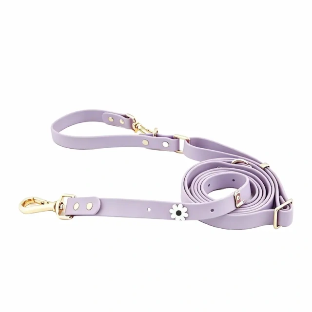 Waterproof PVC Coated Webbing Multi-way Dog Leash with Brass Metal Hardware, Premium Mint Green Pet Lead for Walking & Training, OEM/ODM Wholesale Order Supported
