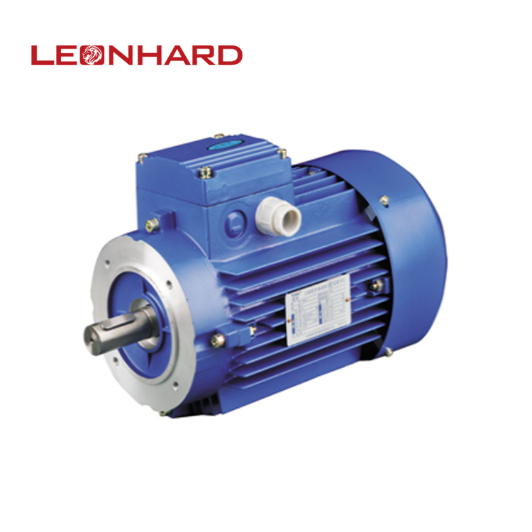 3 phase motor