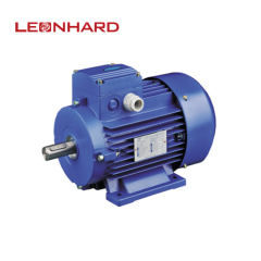 3 phase motor