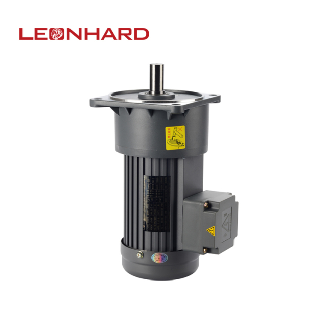 Vertical gear motor