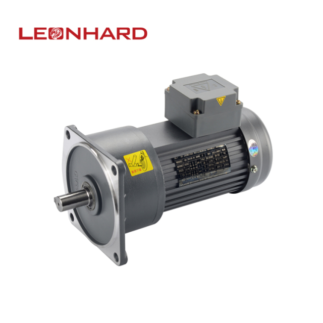 Vertical gear motor