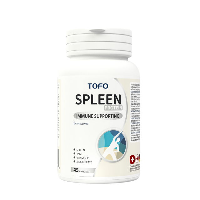 Immunity Spleen