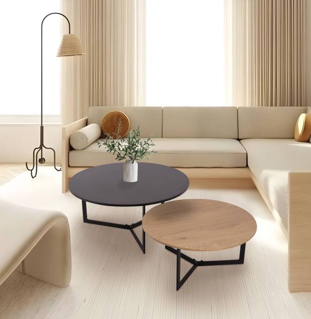 two-color design coffee table