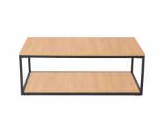 Ash color double space coffee table