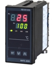 XMT 仪表 / XMTE-6000 仪表