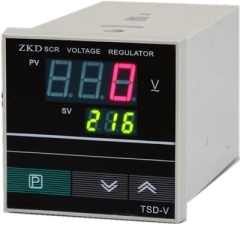 TS 仪表 / TSD-V 仪表