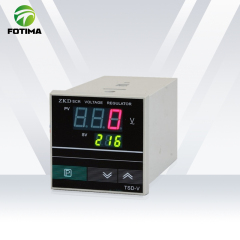 TS 仪表 / TSD-V 仪表