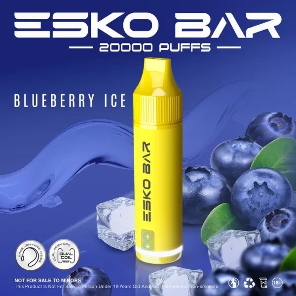 ESKO BAR 20000 จำนวนพัฟ