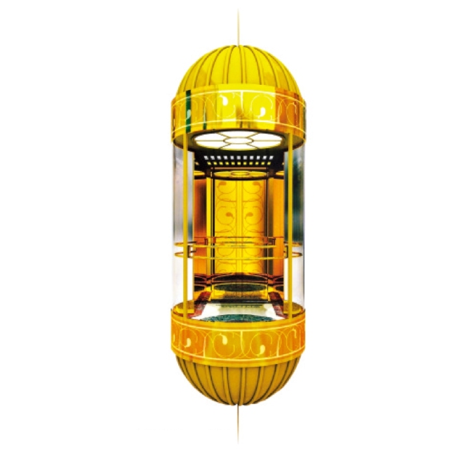 Weite panoramic elevator WT-G01