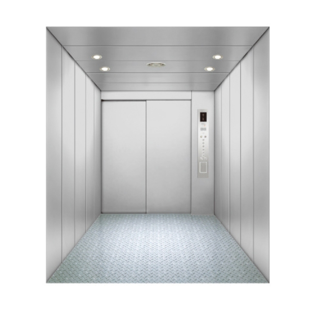 Weite freight elevator WT-H01