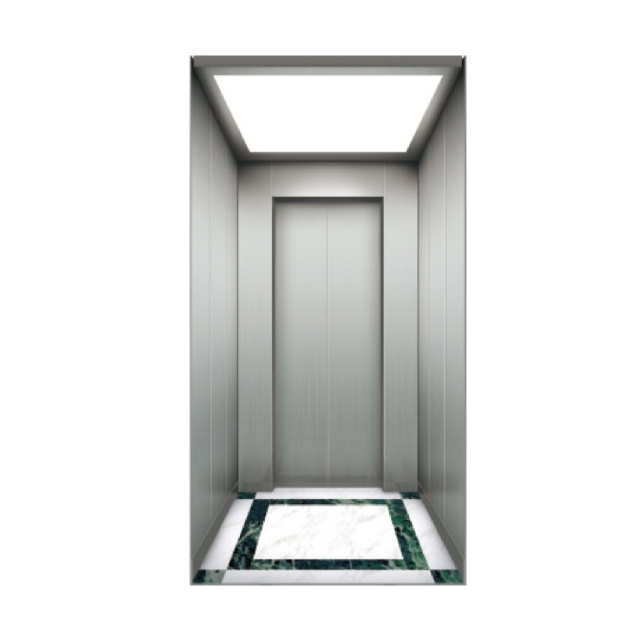 Weite villa elevator WT-V01