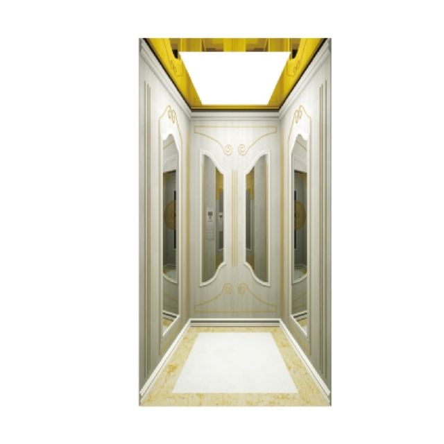 Weite villa elevator WT-V01