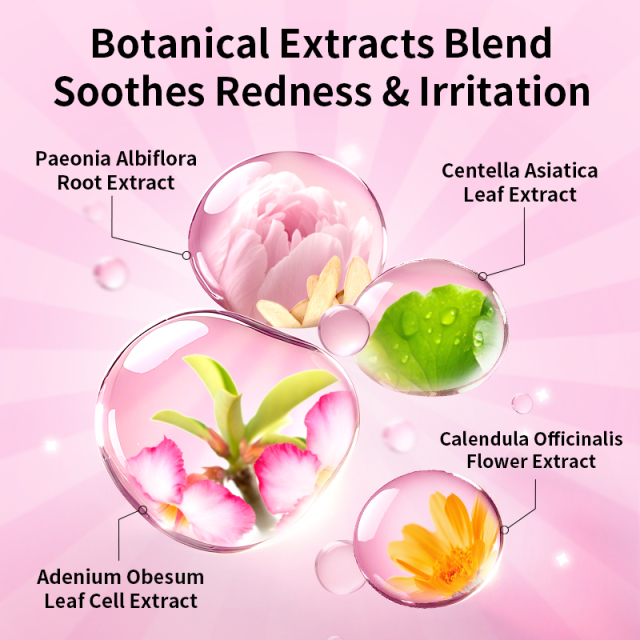 Botanical Oil-Control Sheet Mask